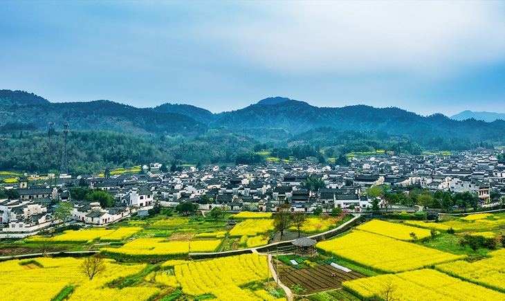 Tourism investment